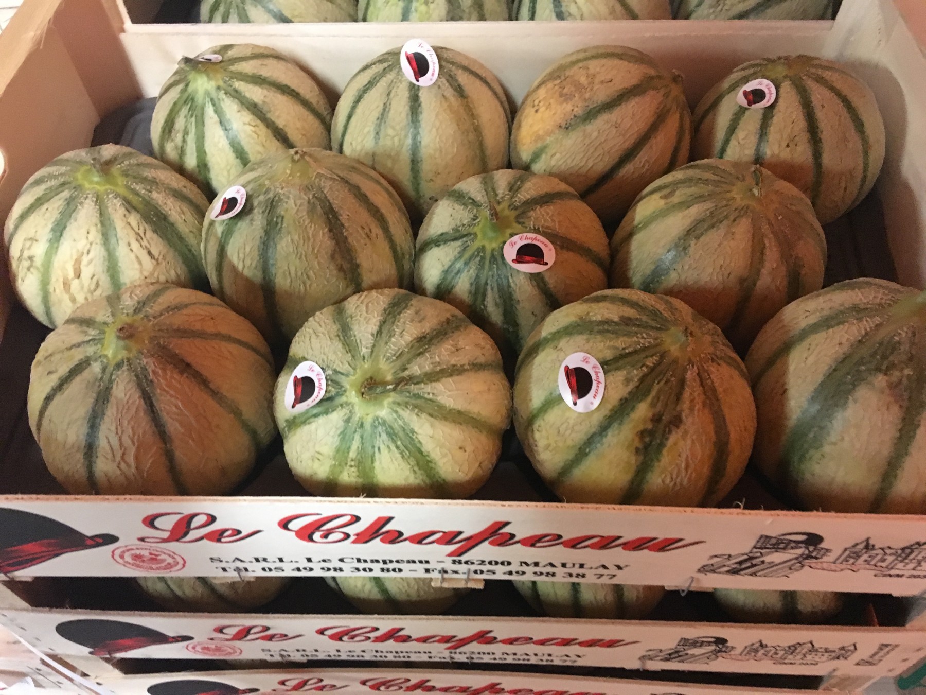 Grossiste en fruits de saison